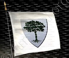 drapeau-MORINIS_Duché de Savoie_États de Savoie (de La Mare)