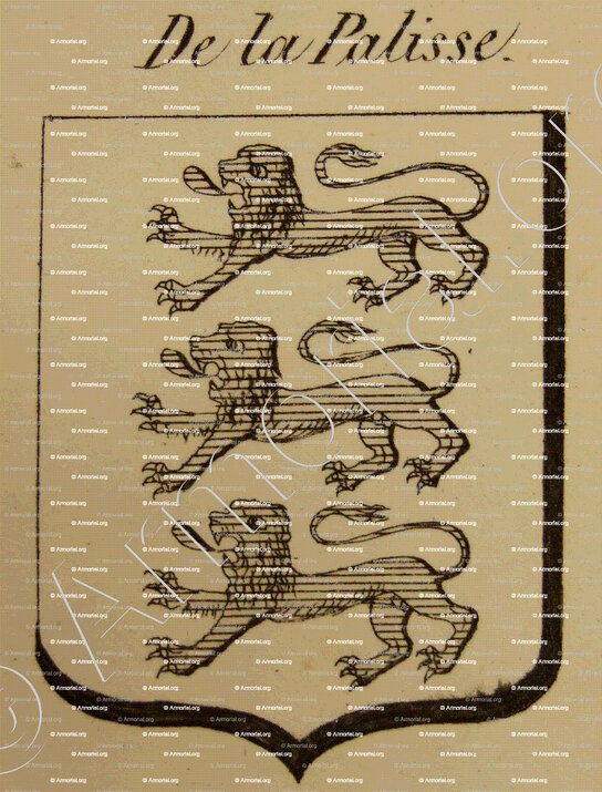 DE LA PALISSE_Auvergne_France