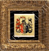 cadre-ancien-or-PÜMPIN_Wappenbuch der Stadt Basel . B.Meyer Knaus 1880_Schweiz 