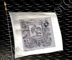 drapeau-NISSE 1658_Armorial Nice. (J. Casal, 1903) (Bibl. mun. de Nice)_France 