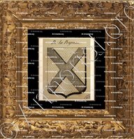 cadre-ancien-or-DE LA PEYROUSE_Auvergne_France