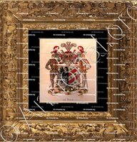 cadre-ancien-or-de BOER_Wapenboek van den Nederlandschen Adel door J.B.Rietstap 1883 1887._Nederland
