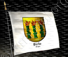 drapeau-PARDO_Aragón_España (i)