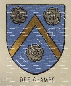 DES CHAMPS