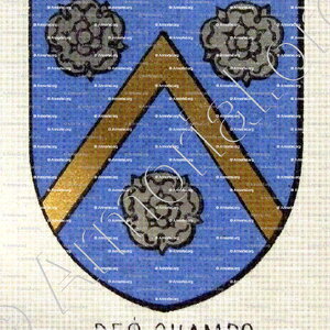 des CHAMPS_Bourbonnais_France (3)
