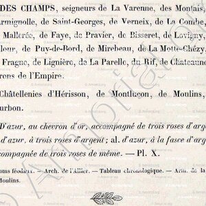 des CHAMPS_Bourbonnais_France (5)