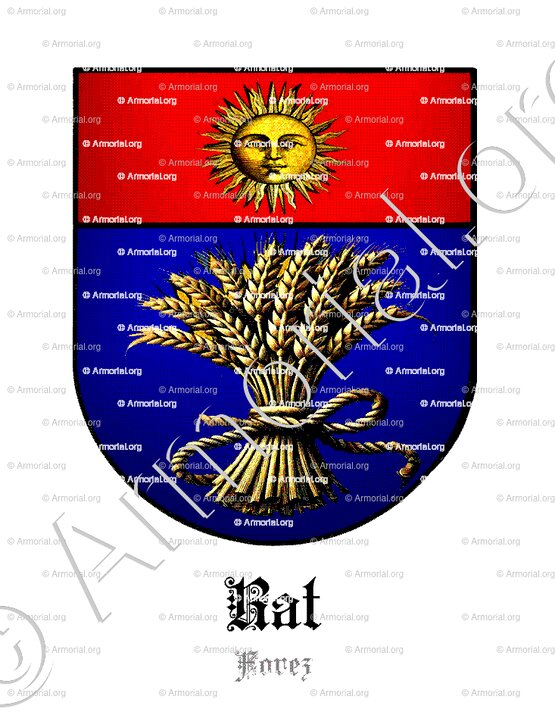 RAT_Forez_France (2)