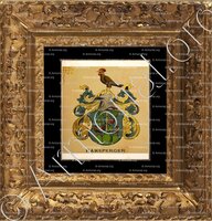 cadre-ancien-or-RAMSPERGER_Wappenbuch der Stadt Basel . B.Meyer Knaus 1880_Schweiz 