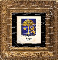 cadre-ancien-or-ROUGIER_Lyonnais_France (2)