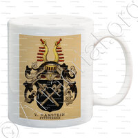 mug-RAMSTEIN Freiherren_Wappenbuch der Stadt Basel . B.Meyer Knaus 1880_Schweiz 