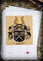 velin-d-Arches-RAMSTEIN Freiherren_Wappenbuch der Stadt Basel . B.Meyer Knaus 1880_Schweiz 