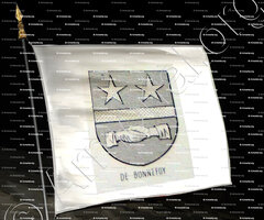 drapeau-de BONNEFOY_Bourbonnais_France (6)