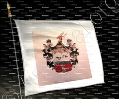 drapeau-SCHUURBEQUE BOEYE_Wapenboek van den Nederlandschen Adel door J.B.Rietstap 1883 1887._Nederland