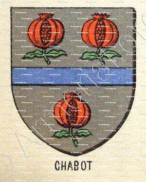 CHABOT_Bourbonnais_France (2)