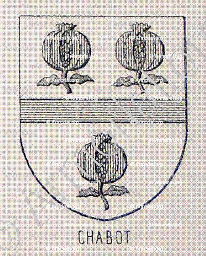 CHABOT_Bourbonnais_France (6)