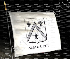 drapeau-AMADUCCI_Incisione a bulino del 1756._Europa