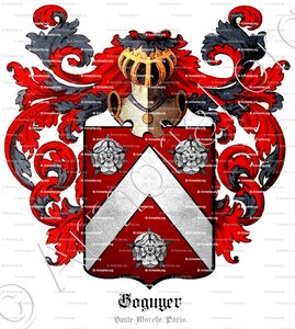 GOGUYER