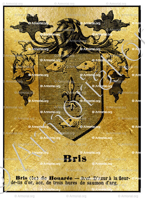 BRIS