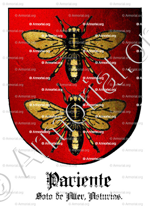 PARIENTE_Soto de Aller, Asturias_España (i)