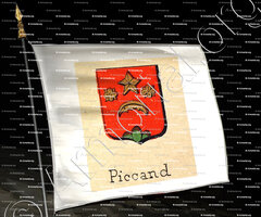 drapeau-PICCAND_Livre d'Or du Canton de Fribourg (Freiburg). (Alfred Raemy, 1898)_Schweiz Suisse Svizzera Switz