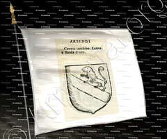 drapeau-ARSENDI_Forli, Romagna._Italia