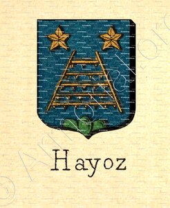 HAYOZ