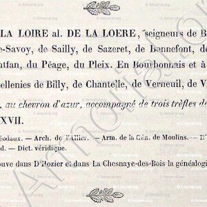 de LA LOIRE_Bourbonnais_France (5)