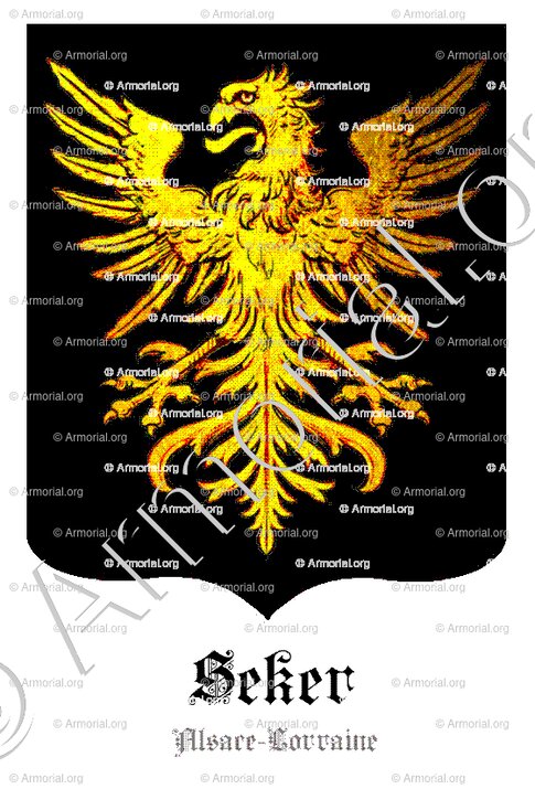 SEKER_Alsace-Lorraine_France (2)