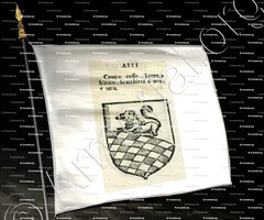 drapeau-ASTI_Forli, Romagna._Italia