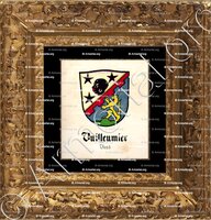 cadre-ancien-or-VUILLEUMIER_Vaud_Suisse (3)