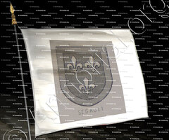 drapeau-SEGAULT_Bourbonnais_France (6)