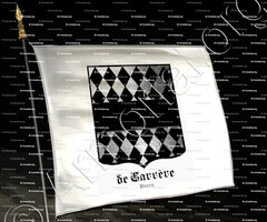 drapeau-de CARRERE_Ledux et Exfos. Béarn, 1696._France.