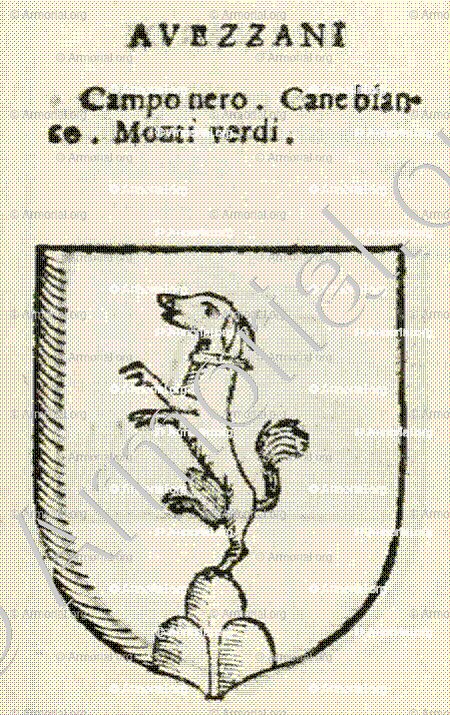 AVEZZANI_Forli, Romagna._Italia