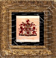 cadre-ancien-or-Van der BEXEN_Wapenboek van den Nederlandschen Adel door J.B.Rietstap 1883 1887._Nederland