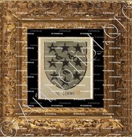 cadre-ancien-or-de LORME Seigneur de PAGNAT_Bourbonnais_France (1)