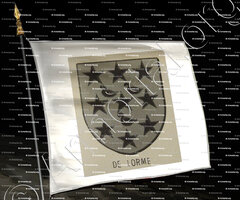 drapeau-de LORME Seigneur de PAGNAT_Bourbonnais_France (1)