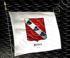 drapeau-POTTIER_Maine_France (2)
