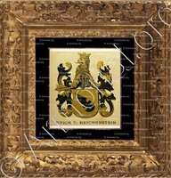 cadre-ancien-or-REICHENSTEIN_Wappenbuch der Stadt Basel . B.Meyer Knaus 1880_Schweiz 