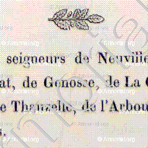 de NEUVILLE_Bourbonnais_France (5)