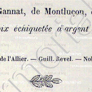 de NEUVILLE_Bourbonnais_France (6)