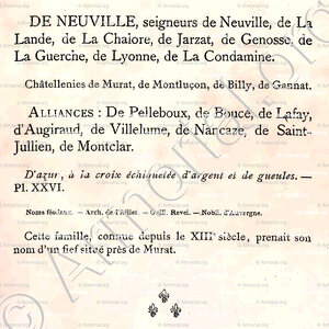 de NEUVILLE_Bourbonnais_France (8)