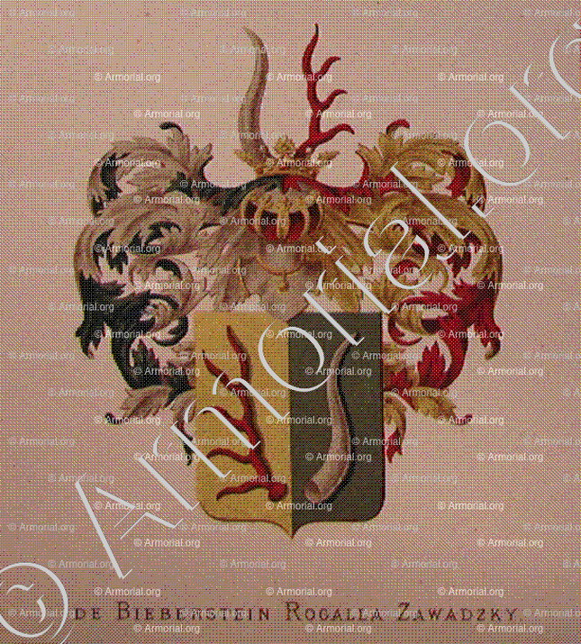 ZAWADZKY_Wapenboek van den Nederlandschen Adel door J.B.Rietstap 1883 1887._Nederland