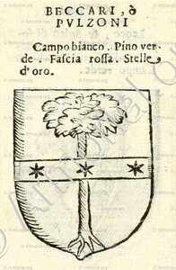 BECCARI o PULZONI