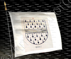 drapeau-MOREL_Bourbonnais_France (6)