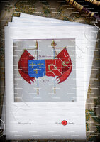 velin-d-Arches-NIZZA 1543, FRANCO-TURCS_Armorial Nice. (J. Casal, 1903) (Bibl. mun. de Nice)._France