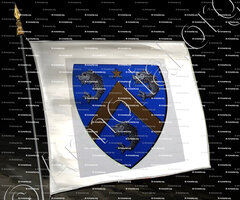 drapeau-OREGAN ou O'REGAN_Ancien Duché de Savoie_États de Savoie