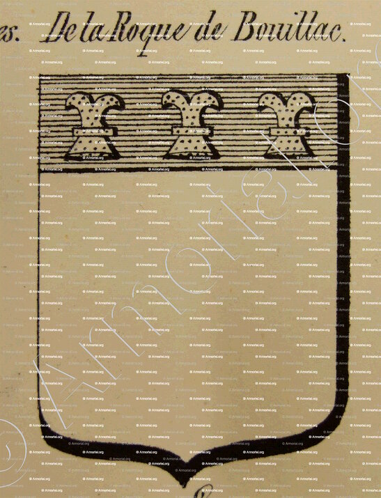 DE LA ROQUE DE BOUILLAC_Auvergne_France