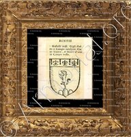 cadre-ancien-or-BENTII_Forli, Romagna._Italia