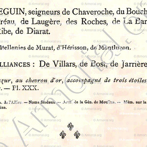 SEGUIN_Bourbonnais_France (8)