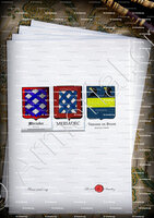 velin-d-Arches-MERIADEC-VERNIER DE BYANS (supplément paiement)